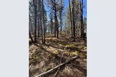 642 Matterhorn Drive, Florissant, CO 80816 - Photo 6
