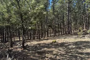 642 Matterhorn Dr, Florissant, CO 80816 - Photo 1