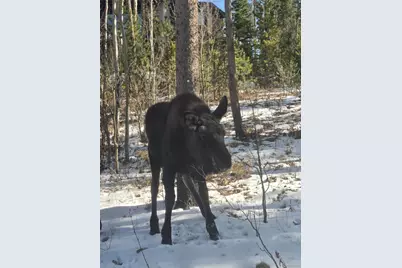 1279 American Way, Breckenridge, CO 80424 - Photo 34