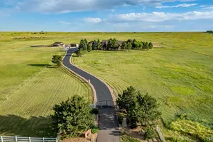 9250 Steeplechase Dr, Franktown, CO 80116 - Photo 46