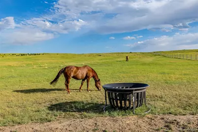 9250 Steeplechase Drive, Franktown, CO 80116 - Photo 44