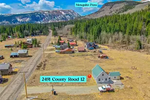 2491 Cr-12, Fairplay, CO 80440 - Photo 28