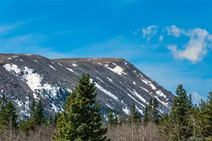 2491 Cr-12, Fairplay, CO 80440 - Photo 30