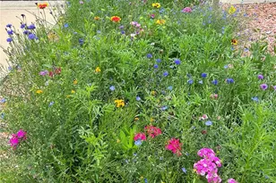 9312 Kendall St, Westminster, CO 80031 - Photo 30