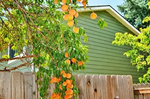 9380 Newton St, Westminster, CO 80031 - Photo 34