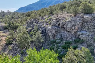 11398 Co Rd 302, Buena Vista, CO 81211 - Photo 50