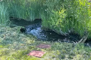 11398 Co Rd 302, Buena Vista, CO 81211 - Photo 10