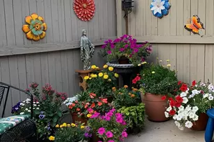 8741 Yukon St, Arvada, CO 80005 - Photo 24