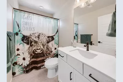 3835 Sandy Vista Trail, Castle Rock, CO 80104 - Photo 22