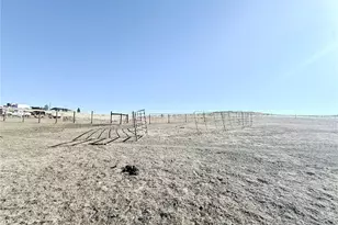 36450 E Florida Ave, Watkins, CO 80137 - Photo 26