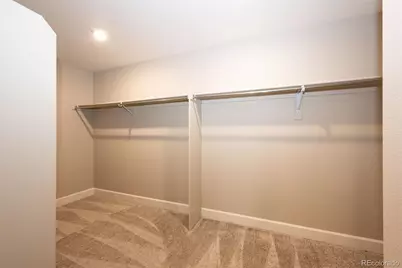 379 Silver Rock Trail, Castle Rock, CO 80104 - Photo 30