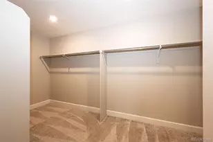 379 Silver Rock Trl, Castle Rock, CO 80104 - Photo 30