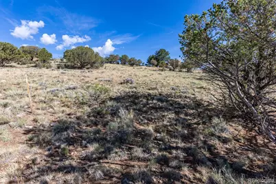 30460 Promontory, Buena Vista, CO 81211 - Photo 18