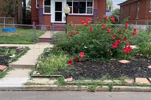 3034 N Race St, Denver, CO 80205 - Photo 2