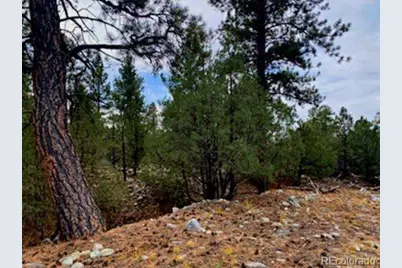 Costilla Place, Mosca, CO 81146 - Photo 6