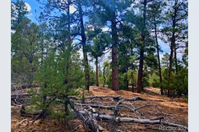 Costilla Place, Mosca, CO 81146 - Photo 10