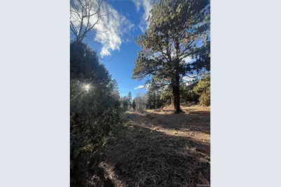 Forbes Rd, Fort Garland, CO 81133 - Photo 12