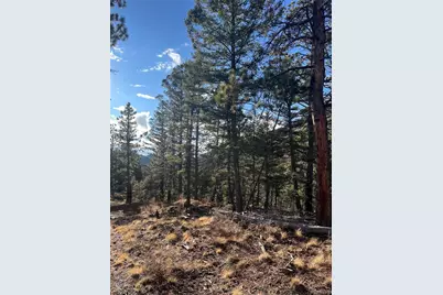 Forbes Rd, Fort Garland, CO 81133 - Photo 4