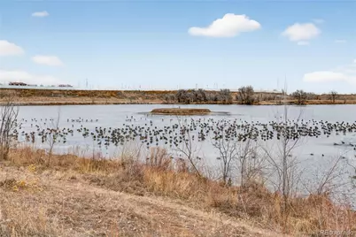 3379 W Wagon Trail Drive, Englewood, CO 80110 - Photo 44