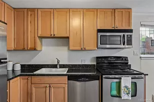 1151 N Marion St, Denver, CO 80218 - Photo 14