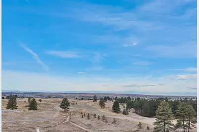 7953 Star Lily Court, Parker, CO 80134 - Photo 22