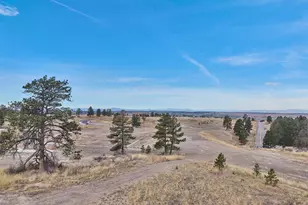 7953 Star Lily Ct, Parker, CO 80134 - Photo 24