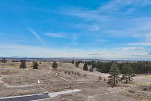7953 Star Lily Ct, Parker, CO 80134 - Photo 20