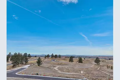 7953 Star Lily Court, Parker, CO 80134 - Photo 10