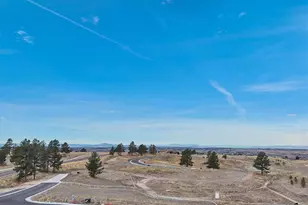 7953 Star Lily Ct, Parker, CO 80134 - Photo 10