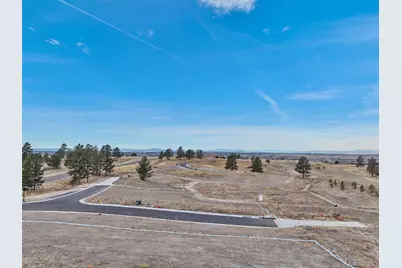 7953 Star Lily Court, Parker, CO 80134 - Photo 8