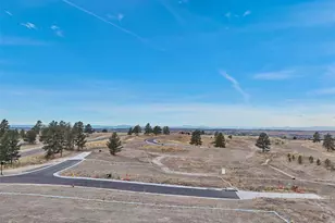 7953 Star Lily Ct, Parker, CO 80134 - Photo 8