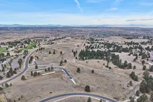 7953 Star Lily Ct, Parker, CO 80134 - Photo 6