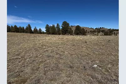 225 Wagon Wheel Road, Hartsel, CO 80449 - Photo 20