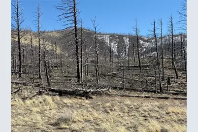 Lot 385 Soubry Place, Fort Garland, CO 81133 - Photo 14