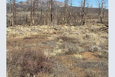 Lot 385 Soubry Place, Fort Garland, CO 81133 - Photo 12