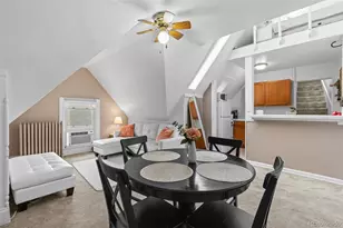 1136 N Logan Street, Denver, CO 80203 - Photo 8