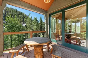 402 Wild Irishman Road, Keystone, CO 80435 - Photo 16