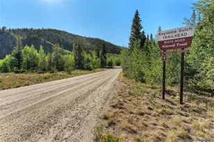 402 Wild Irishman Road, Keystone, CO 80435 - Photo 44