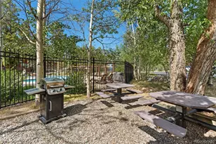 402 Wild Irishman Road, Keystone, CO 80435 - Photo 38