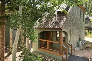 402 Wild Irishman Road, Keystone, CO 80435 - Photo 4