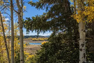 155 Lamb Mountain Rd, Fairplay, CO 80440 - Photo 30