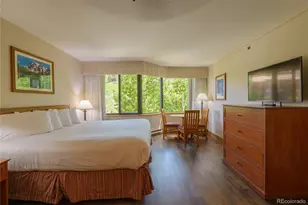 6 Emmons Rd, Mt Crested Butte, CO 81225 - Photo 8