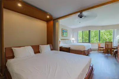 6 Emmons Road #515, Mt Crested Butte, CO 81225 - Photo 1