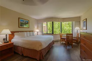 6 Emmons Rd, Mt Crested Butte, CO 81225 - Photo 2