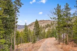 206 Wonder Trail, Golden, CO 80403 - Photo 12