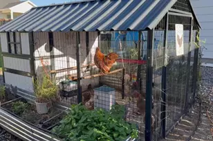 27887 E 9th Ln, Aurora, CO 80018 - Photo 10