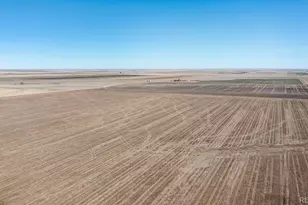 10573 Co Rd 165, Matheson, CO 80830 - Photo 44