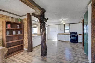 10573 County Road 165, Matheson, CO 80830 - Photo 16