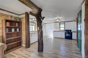 10573 Co Rd 165, Matheson, CO 80830 - Photo 16