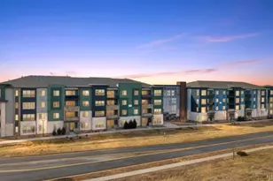 9287 Twenty Mile Road, Parker, CO 80134 - Photo 10